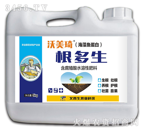 �����~���׸�����-������-������