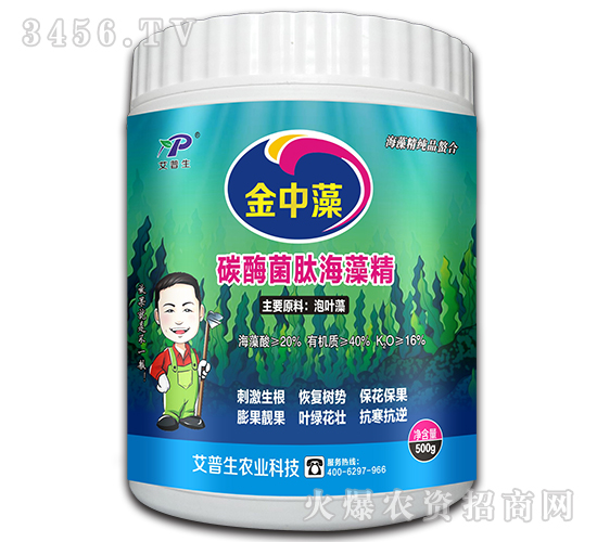 ̼ø���ĺ��徫-������-������