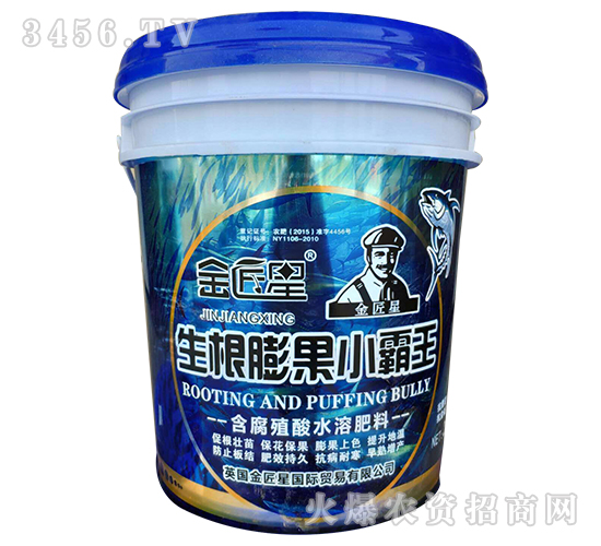 �������С����-����