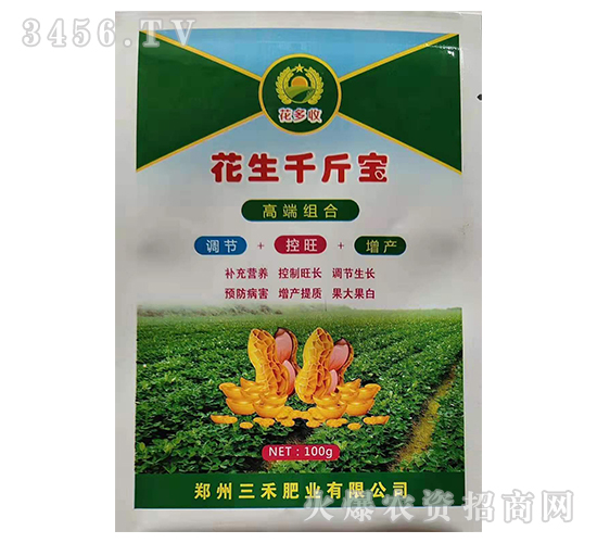 ����ǧ�-������-���̷ʘI(y��)