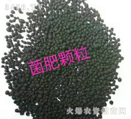 ����-������