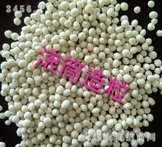 �LͲ����-������