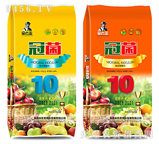 ΢�������-�ھ�-����