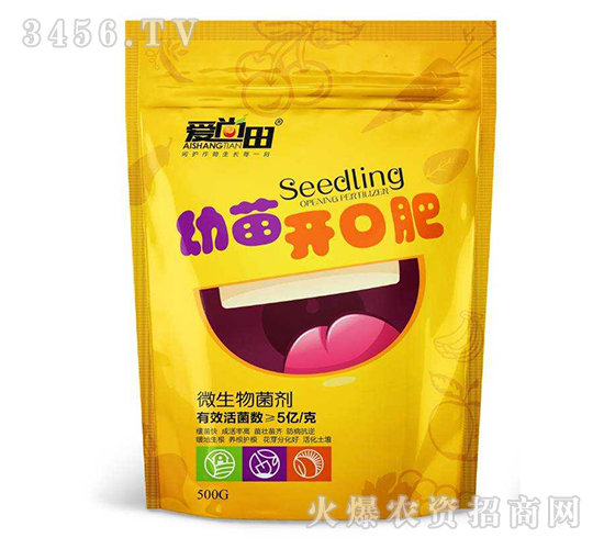 �����_�ڷ�-������-�������