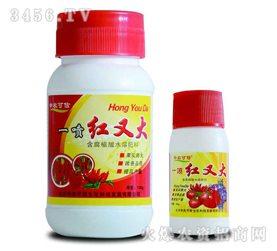 ����һ���t-���r(n��ng)����