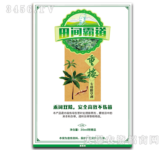 �ؘǌ��ó��݄�-���g�Ե�