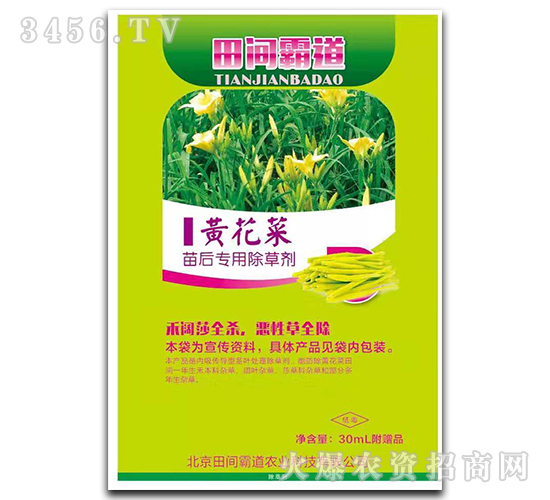 �S��������ó��݄�-���g�Ե�