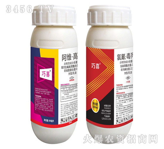 ���S������+���衤������-��ϲ-����