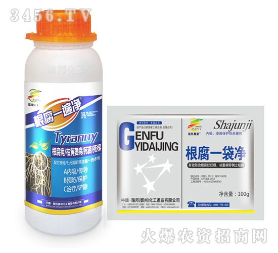 ����һ���+����һ����-����