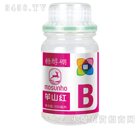 �Ǵ���-Ĳɽ�t-���p��