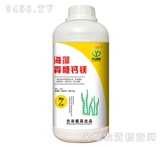 ��������}�V-Ԫ��ֲ��