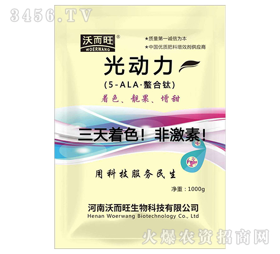 �����-�ֶ���