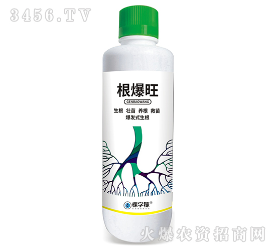 �����������l(f��)ʽ������-�ÌW��