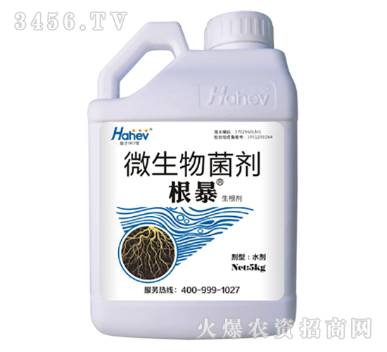 ΢�������-����-������