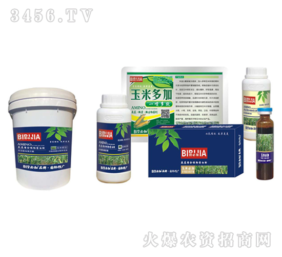 ���ױؼ�-�κ�����