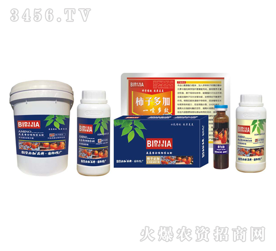 ���ӱؼ�-�κ�����