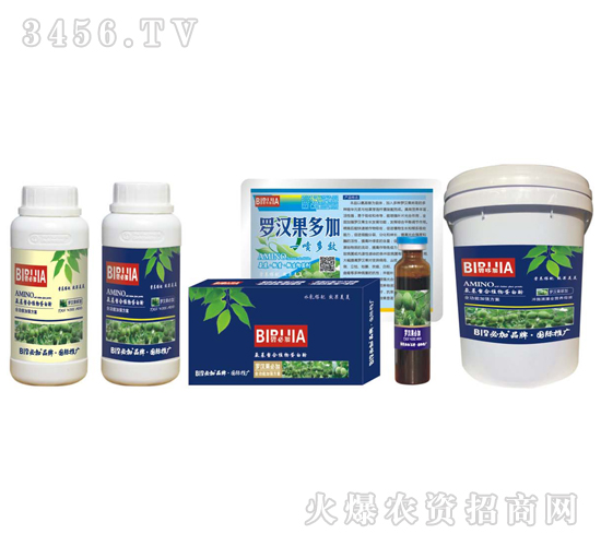 �_�h���ؼ�-�κ�����