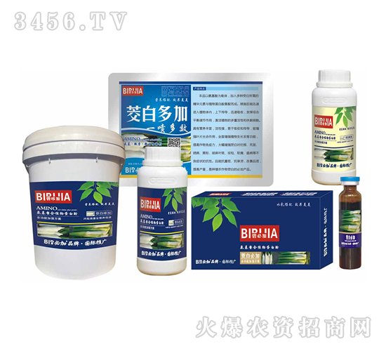 ���ױؼ�-�κ�����