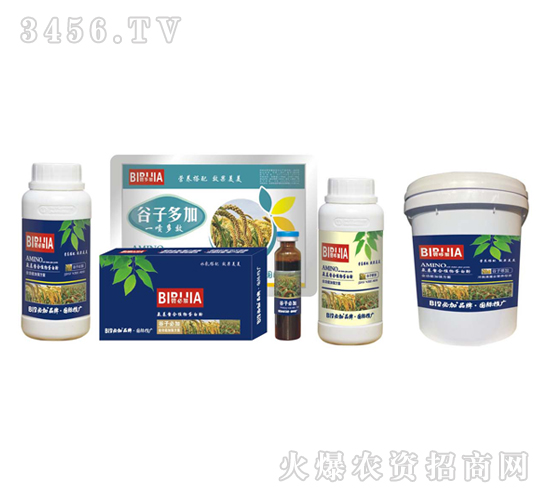 ���ӱؼ�-�κ�����