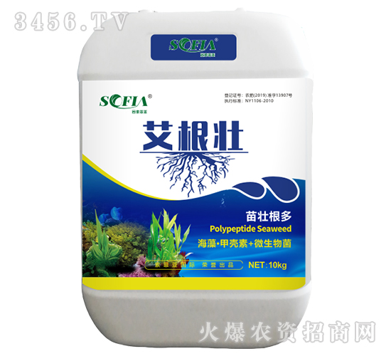 ���塤�ך���+΢�����-������-���Ɓ�