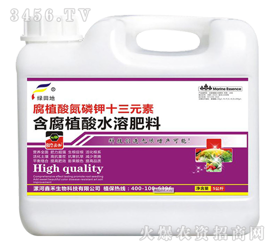 ��ֲ�ᵪ���ʮ��Ԫ��-�G���-�κ�����