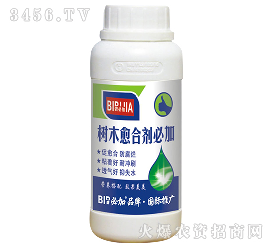 ��ľ���τ��ؼ�-�̱ؼ�-�κ�����