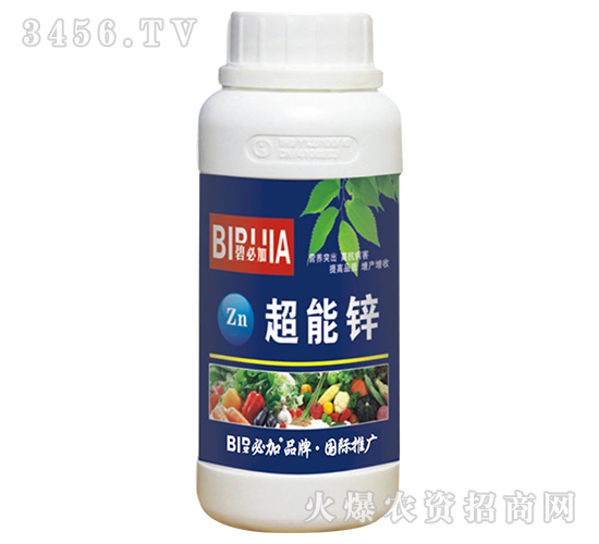 �����\-�̱ؼ�-�κ�����