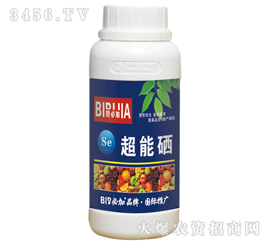 ������-�̱ؼ�-�κ�����