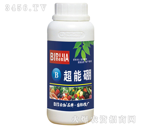 ������-�̱ؼ�-�κ�����