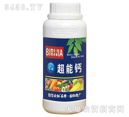 �����}-�̱ؼ�-�κ�����