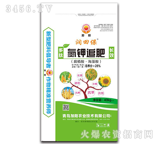 ���׷��24-0-4-��(r��n)�ﱣ-���(y��ng)