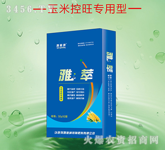 ���׿����������~���-����-��ʩ�{