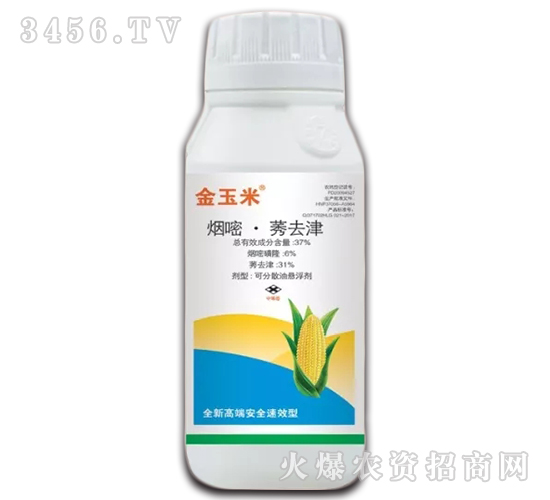 ���ס�ݬȥ��-������-����ֲ��