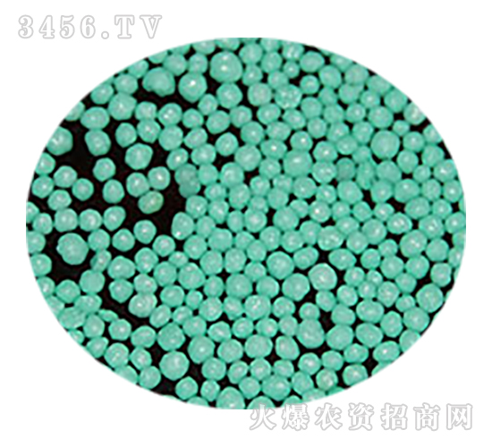 120���Ĥ����w���G-�𚤻���