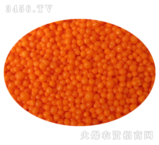 90���Ĥ����w��-�𚤻���