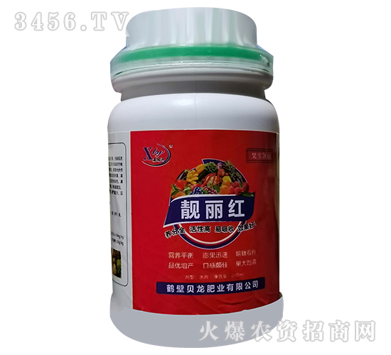 �n���t-ؐ���ʘI(y��)