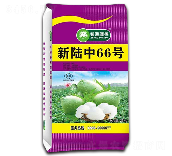 �����66̖-�޻��N��-������