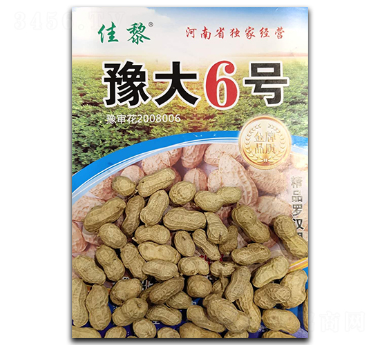 ԥ��6̖�����N��-����-�P���N�I(y��)