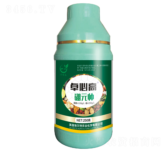 ��Ԫ��-׿�ظ�-һ������