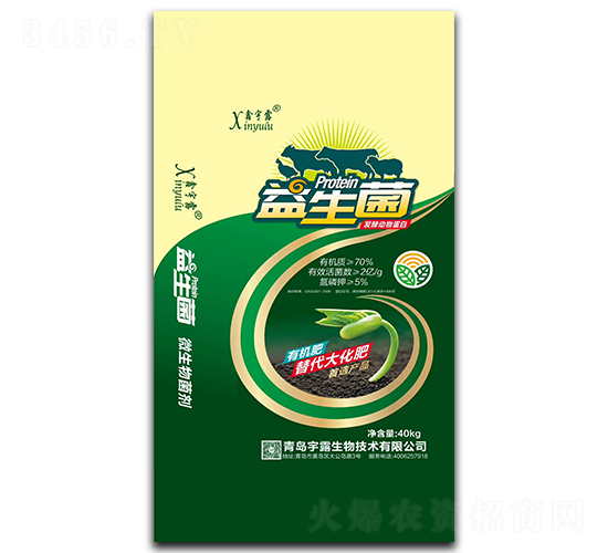 �������l(f��)�̈́��ﵰ��-����¶