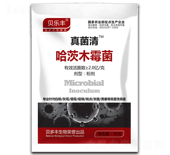 ����ľù��-�����-ؐ���S