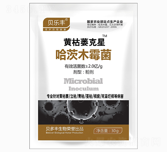 ����ľù��-�S��ή����-ؐ���S