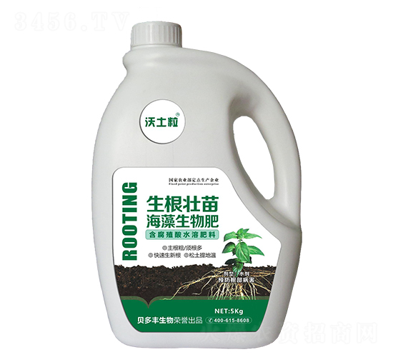 �������纣�������-������-ؐ���S