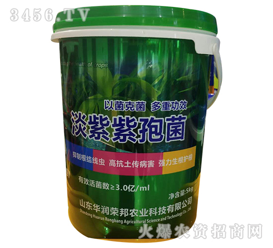 �������߾�-�A���s��