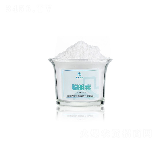 ����-�������