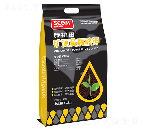 �VԴ�S�����-ʩ����-˹��ķ