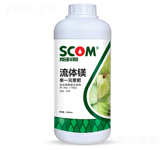 ���w�V-˹��ķ