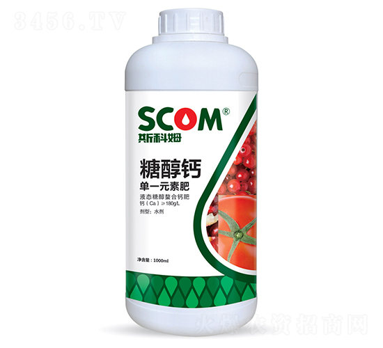 �Ǵ��}-˹��ķ