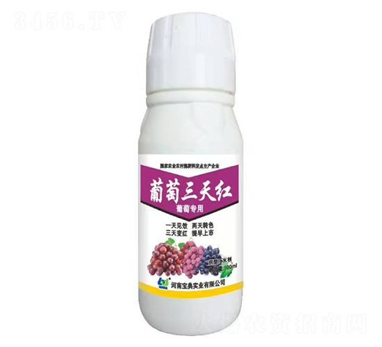 ��������t-���䌍�I(y��)