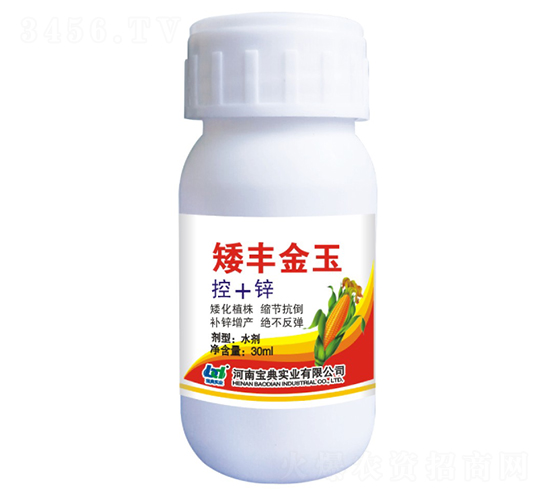 ���S���񣨿�+�\��-���䌍�I(y��)